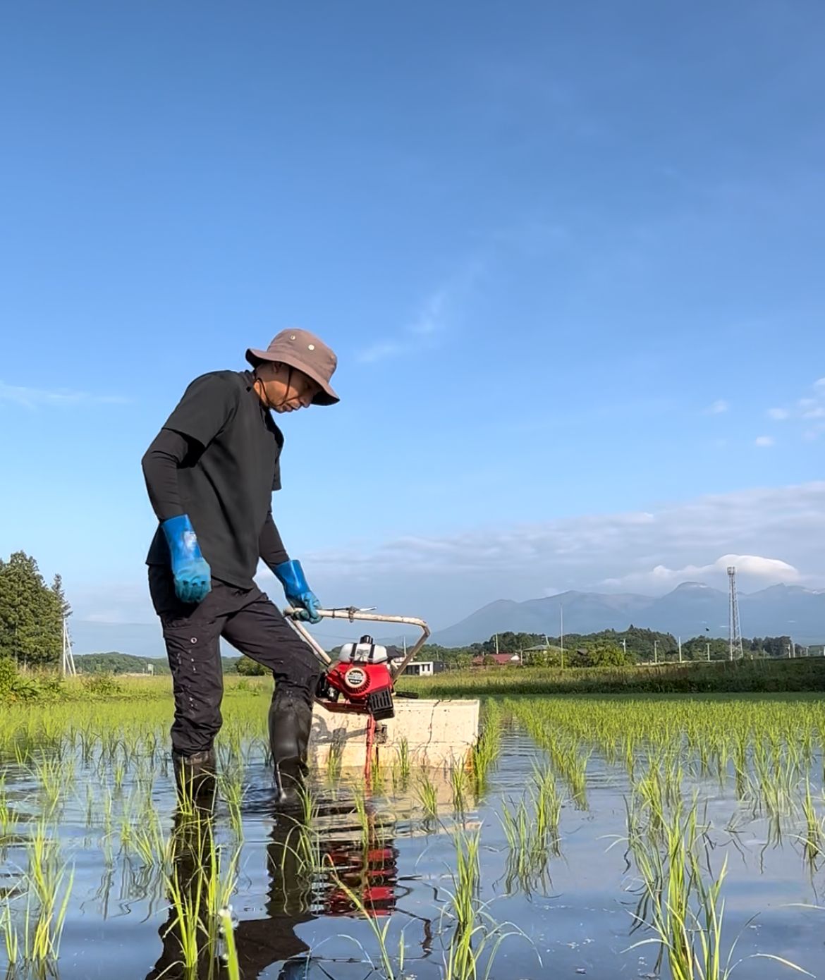 水を張った田んぼで作業する大島佑太